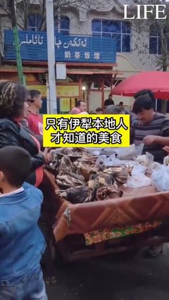 天鹅泉畔奶茶香——伊犁河北岸的双重诗意