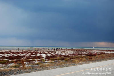 草原风味，暖心之选 手把羊肉与暖瓶装的内蒙奶茶